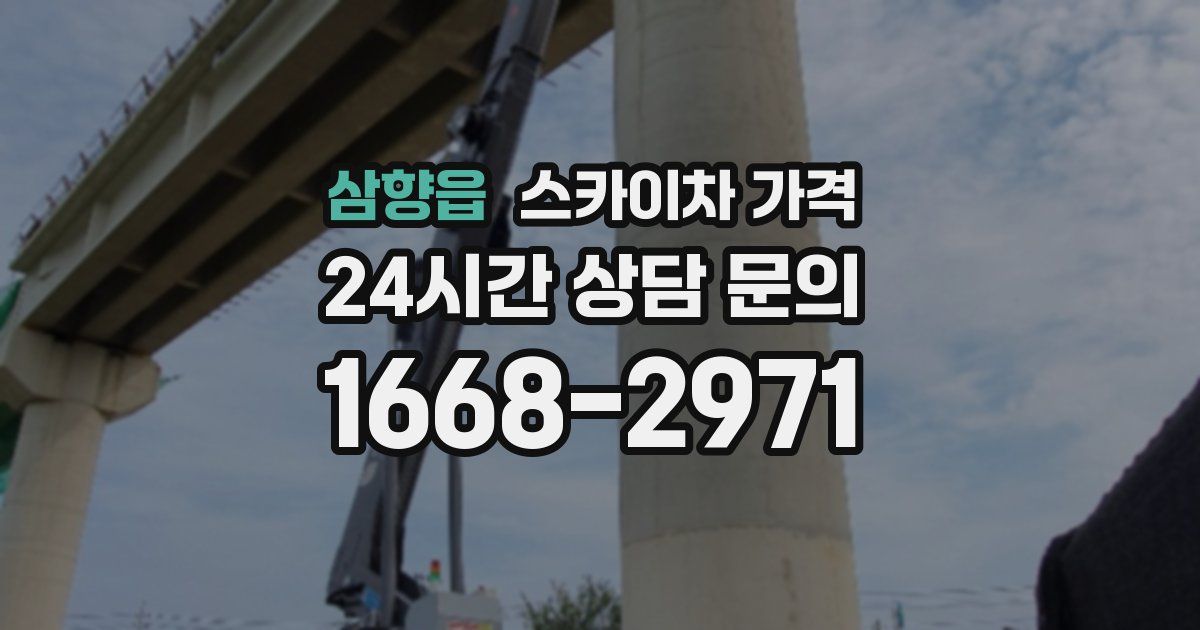 삼향읍 스카이차 가격