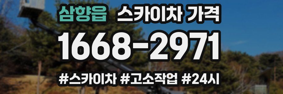 삼향읍 스카이차 가격