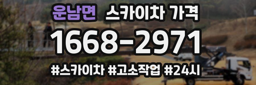 운남면 스카이차 가격