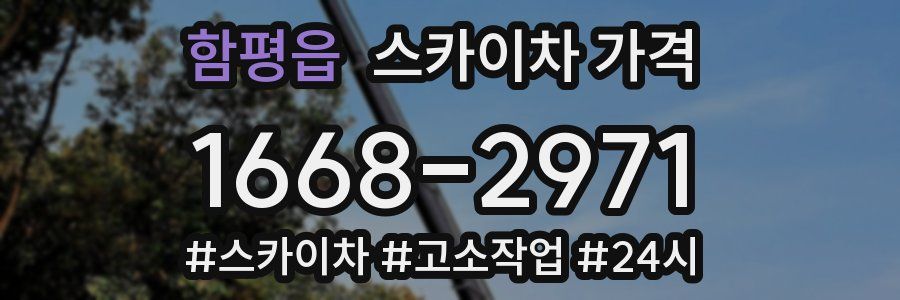 함평읍 스카이차 가격