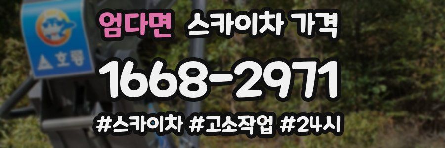 엄다면 스카이차 가격