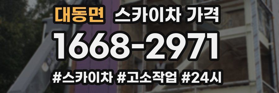 대동면 스카이차 가격