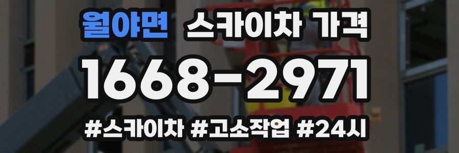 월야면 스카이차 가격