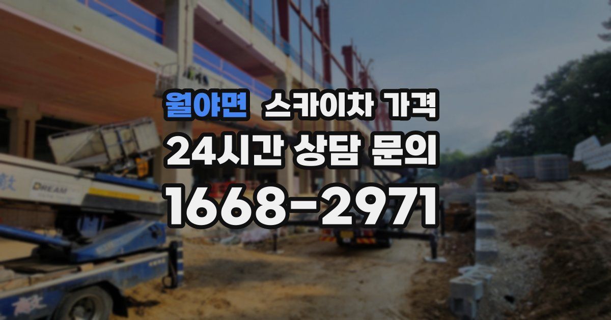 월야면 스카이차 가격