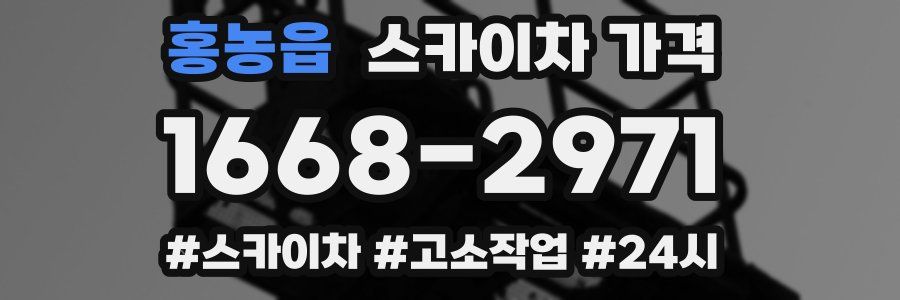 홍농읍 스카이차 가격