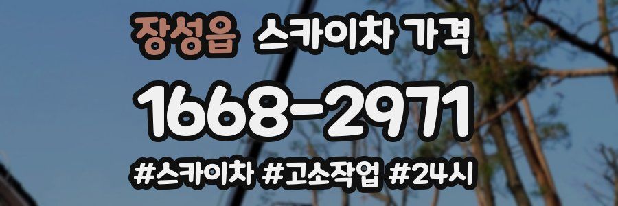장성읍 스카이차 가격