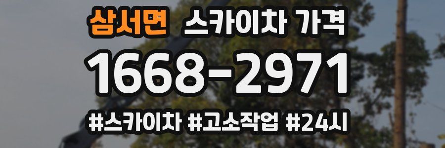 삼서면 스카이차 가격