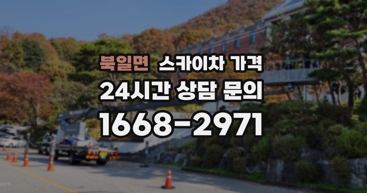 북일면 스카이차 가격