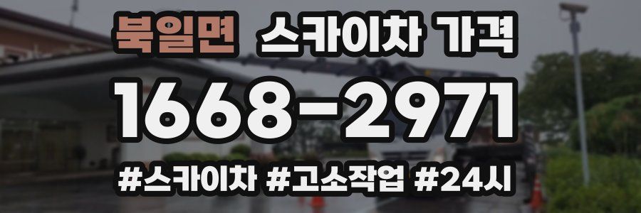 북일면 스카이차 가격