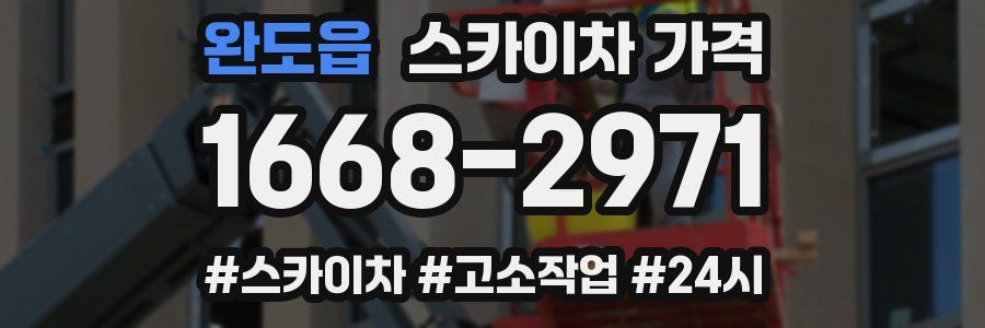 완도읍 스카이차 가격