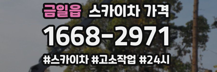 금일읍 스카이차 가격