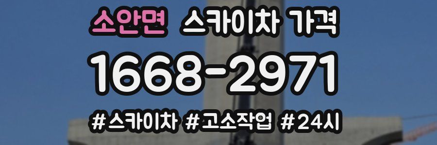 소안면 스카이차 가격