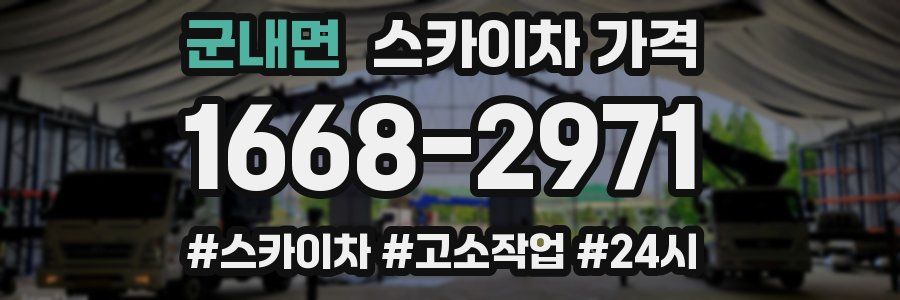 군내면 스카이차 가격