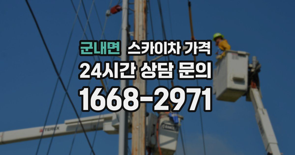 군내면 스카이차 가격