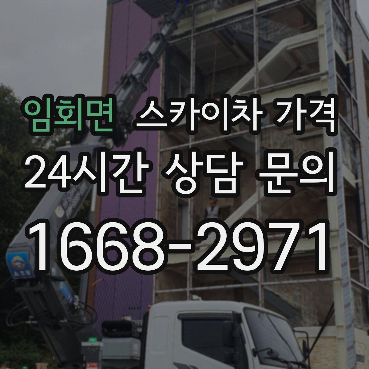 임회면 스카이차 가격