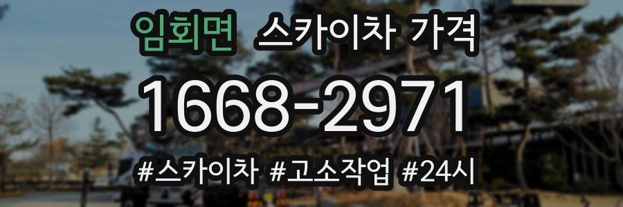 임회면 스카이차 가격