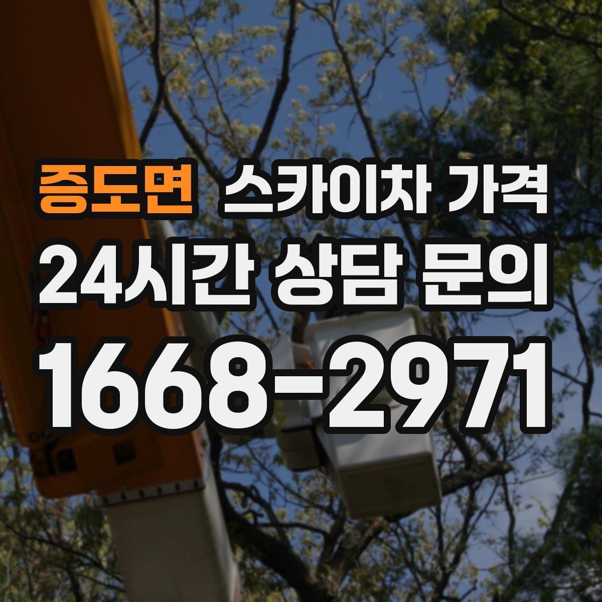 증도면 스카이차 가격 전화보다 사진 문의가 빠른 이유