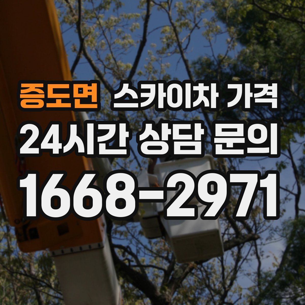 증도면 스카이차 가격