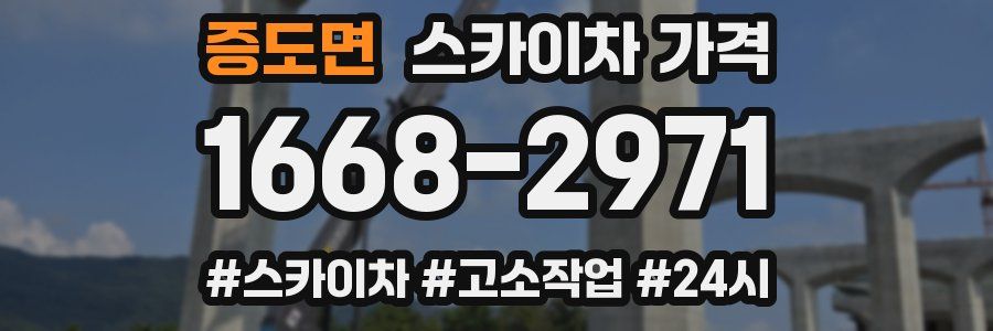 증도면 스카이차 가격