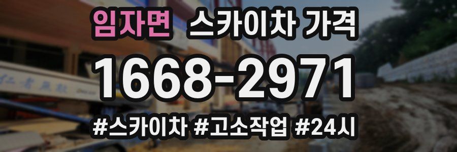 임자면 스카이차 가격