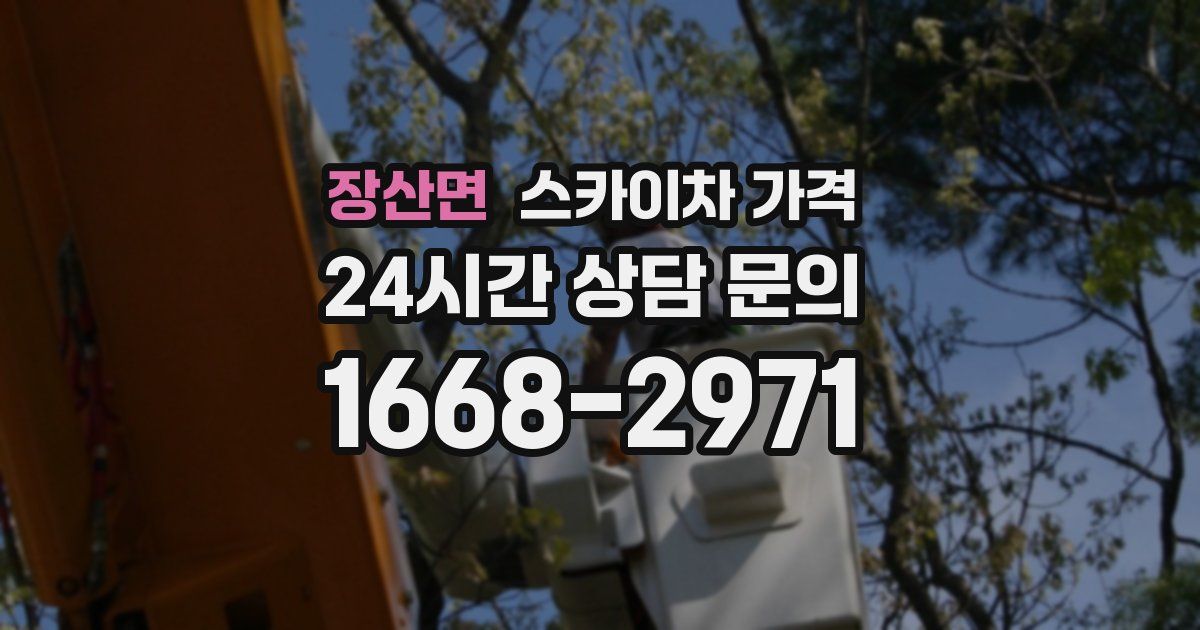 장산면 스카이차 가격