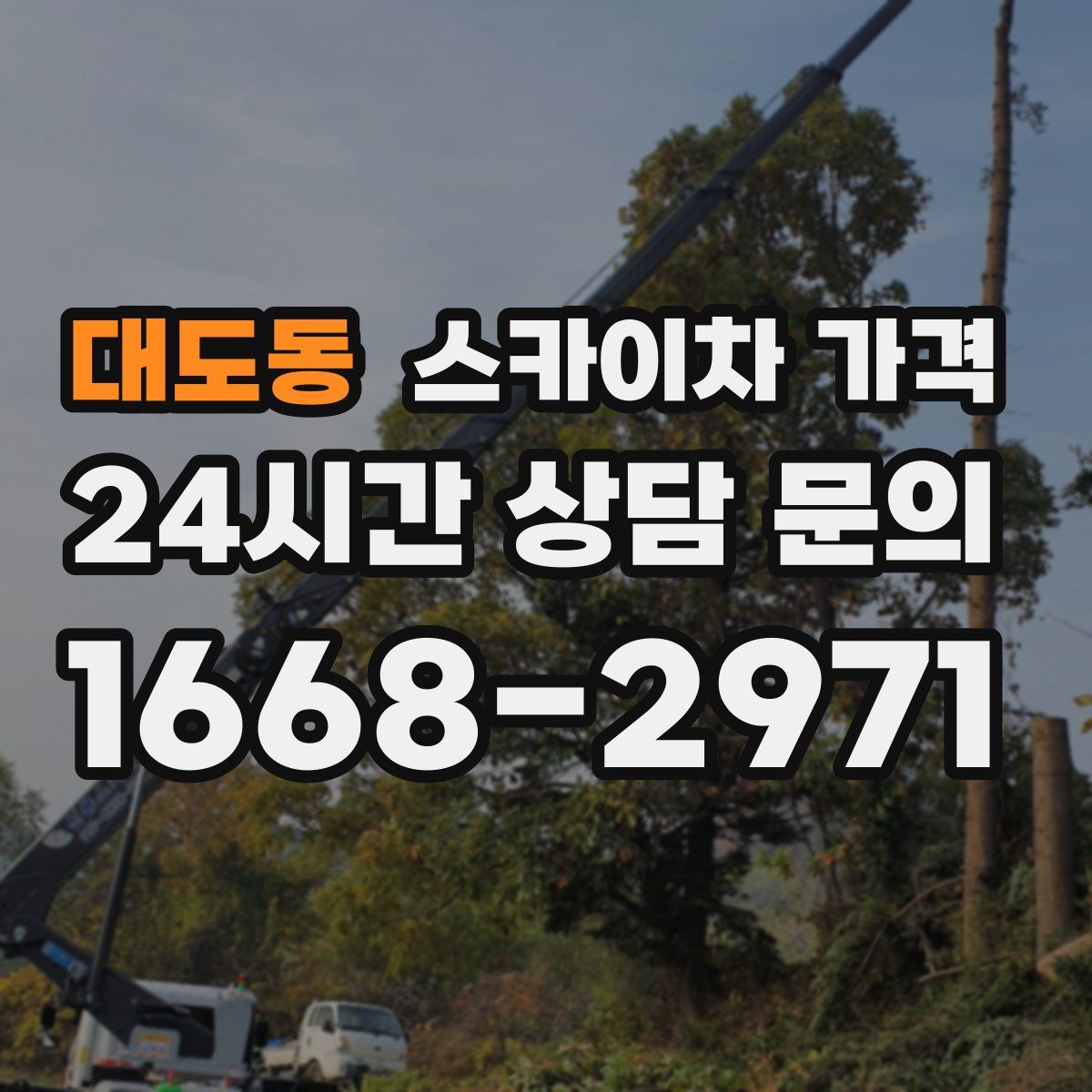 대도동 스카이차 가격