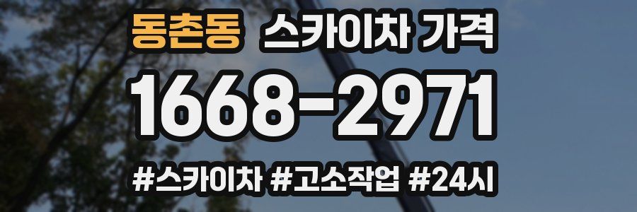 동촌동 스카이차 가격