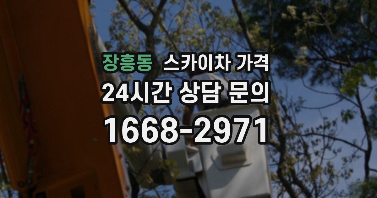 장흥동 스카이차 가격