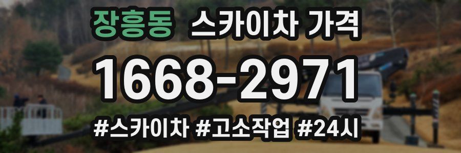 장흥동 스카이차 가격