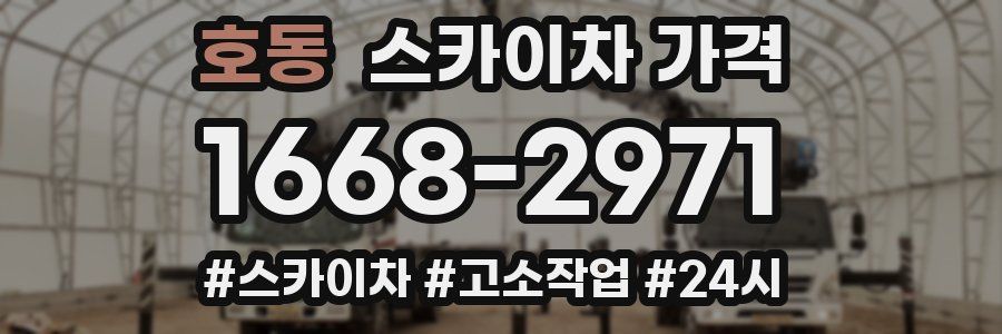 호동 스카이차 가격