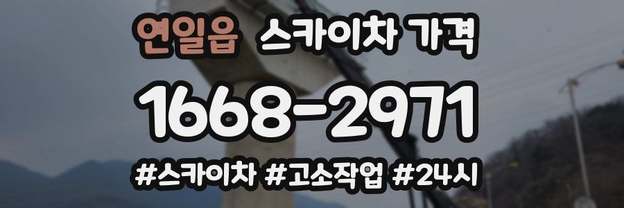 연일읍 스카이차 가격