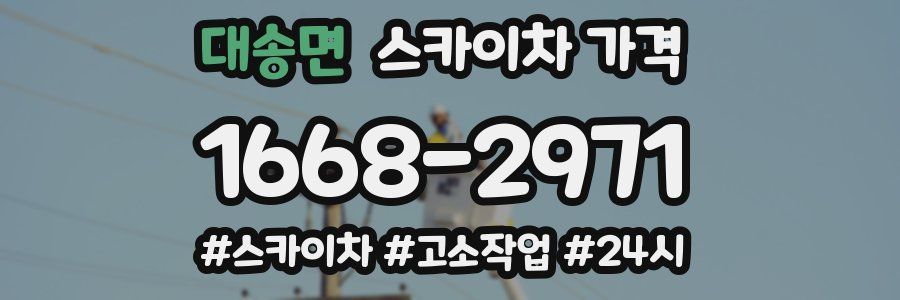 대송면 스카이차 가격