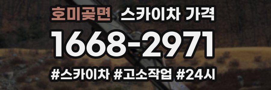 호미곶면 스카이차 가격