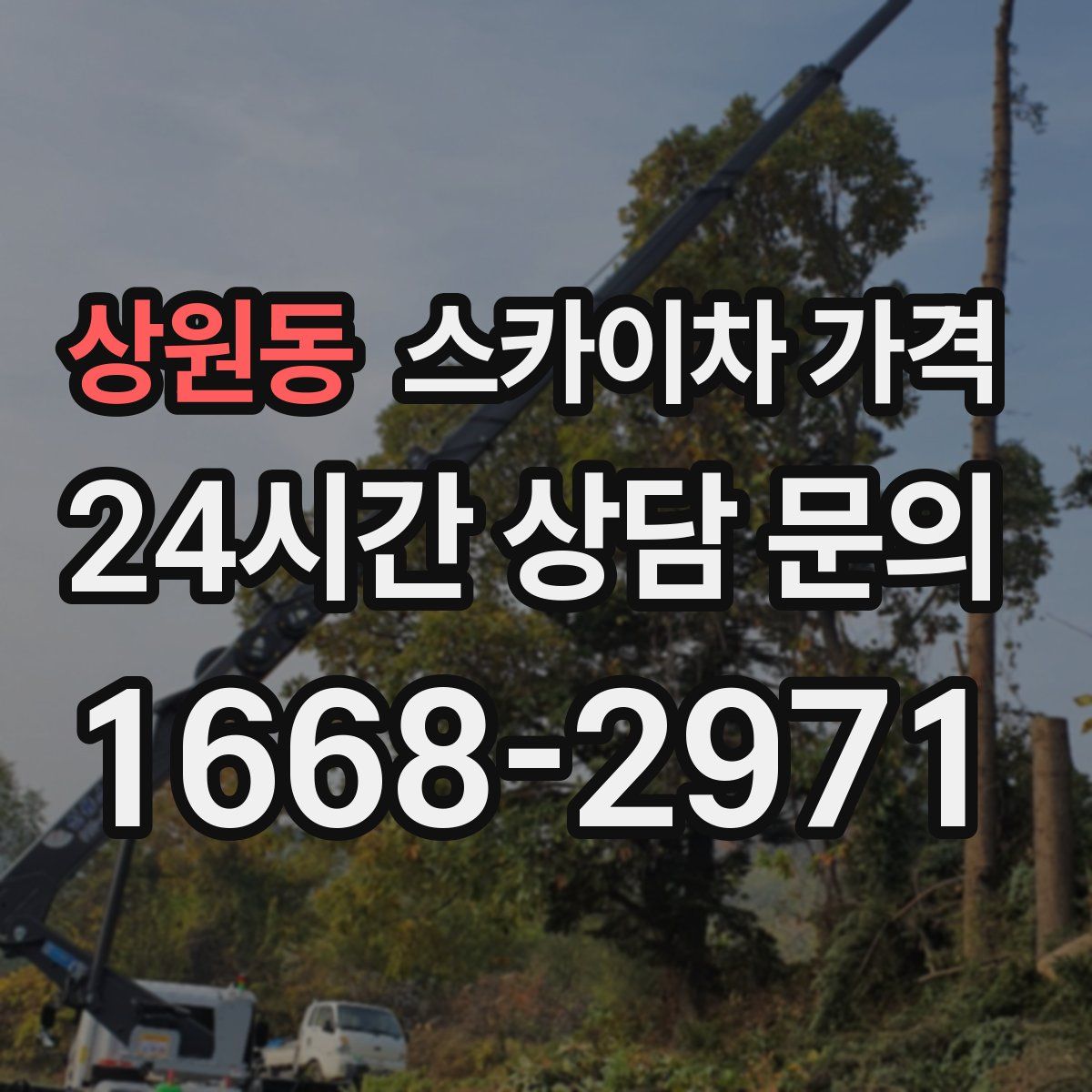 상원동 스카이차 가격