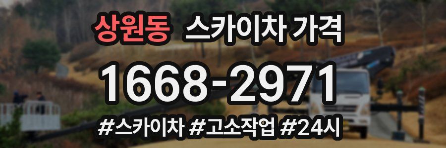 상원동 스카이차 가격