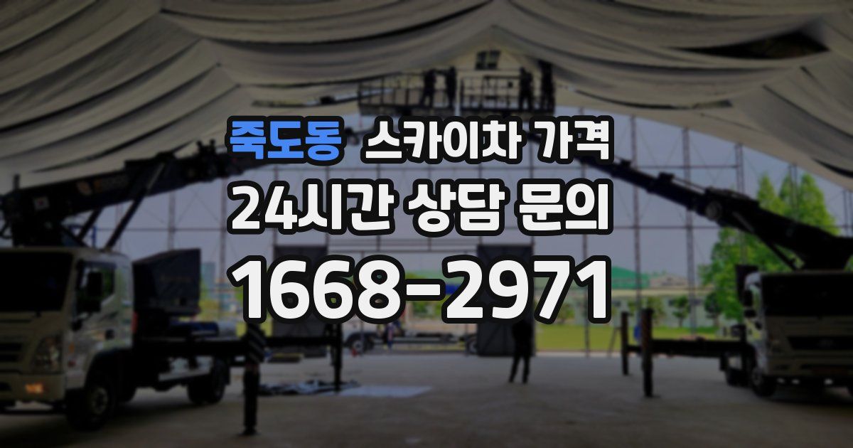 죽도동 스카이차 가격