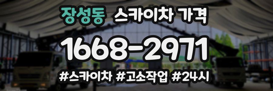 장성동 스카이차 가격