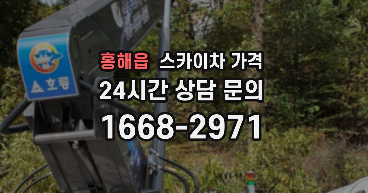 흥해읍 스카이차 가격