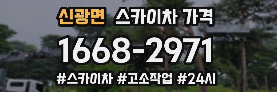 신광면 스카이차 가격