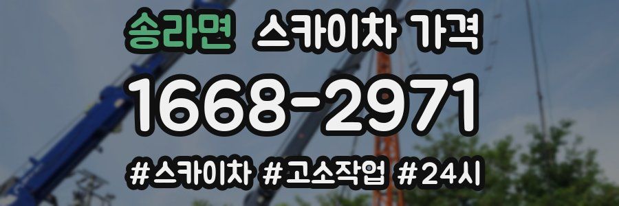 송라면 스카이차 가격