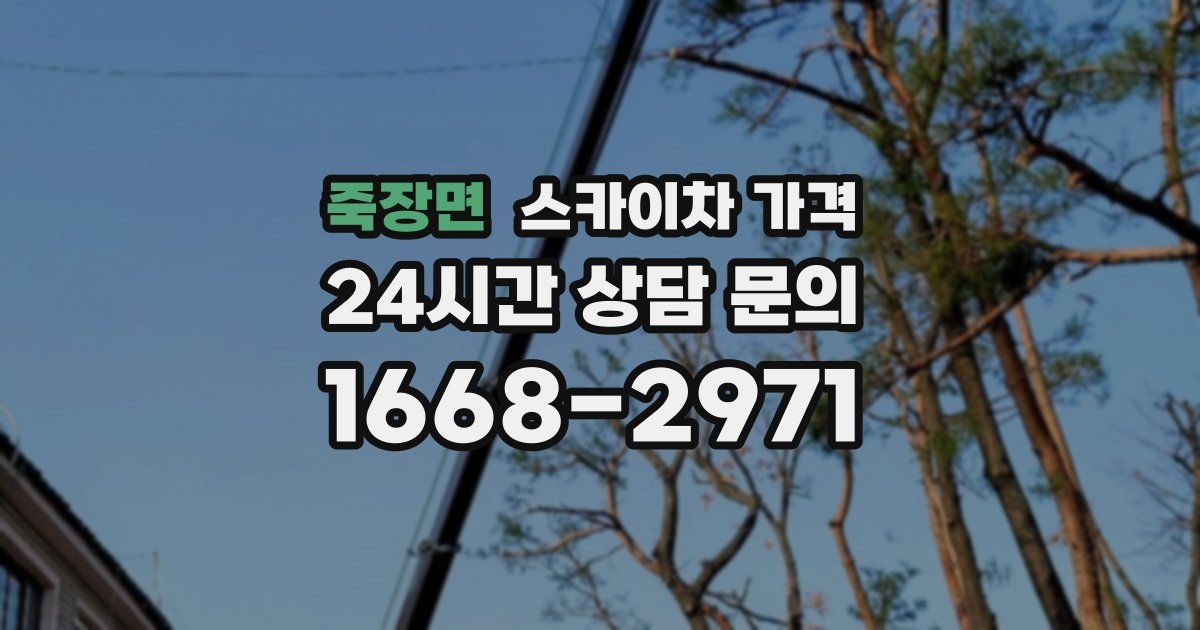 죽장면 스카이차 가격