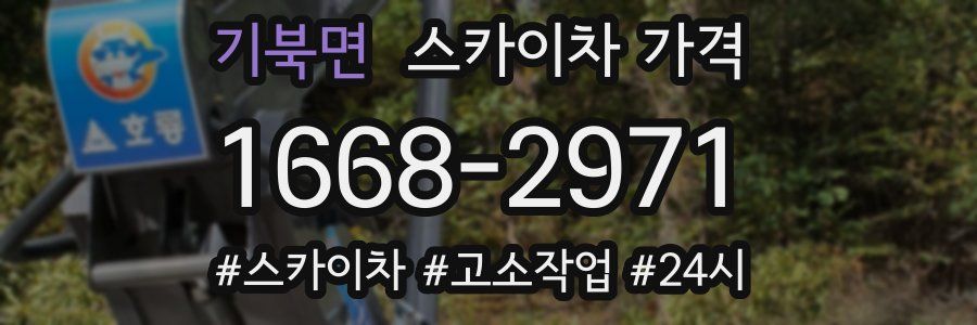기북면 스카이차 가격