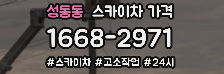 성동동 스카이차 가격