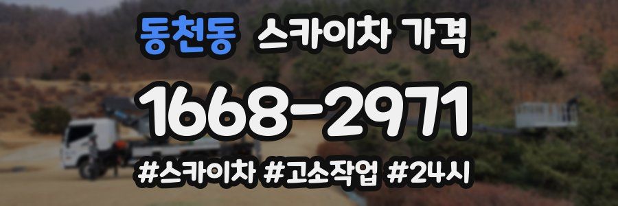 동천동 스카이차 가격