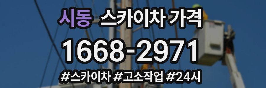 시동 스카이차 가격