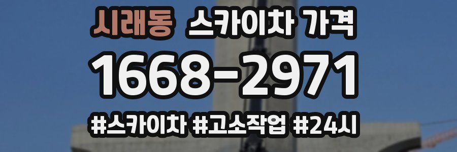 시래동 스카이차 가격