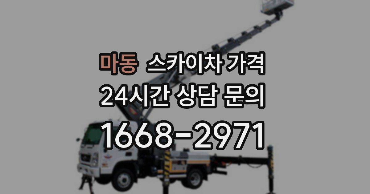 마동 스카이차 가격