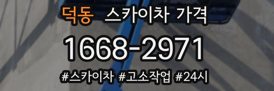 덕동 스카이차 가격