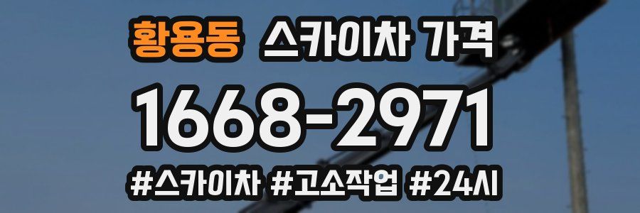 황용동 스카이차 가격