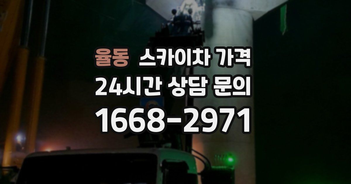 율동 스카이차 가격